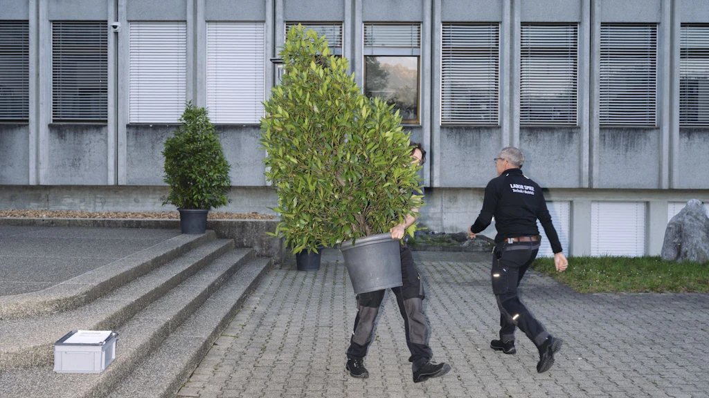 Zwei Personen kreuzen sich, während eine davon eine Pflanze im Topf trägt.